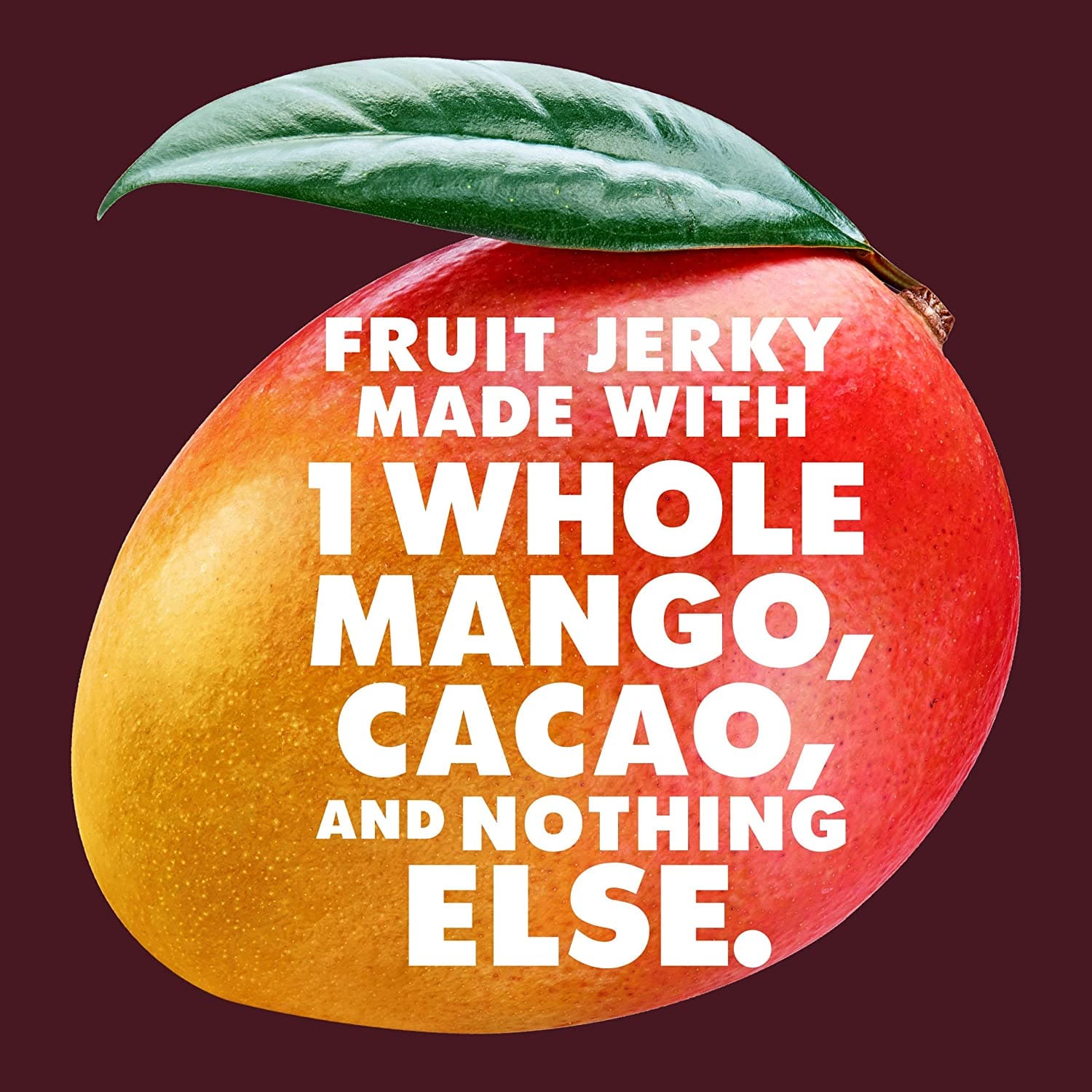 Organic Mango Chocolate Drizzled Fruit Jerky